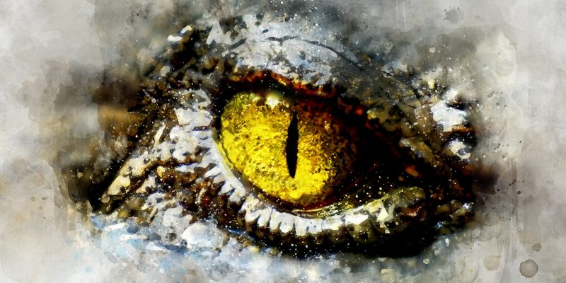 reptilien